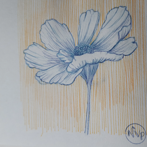 Fleur de lin stylo bille et crayon de couleur