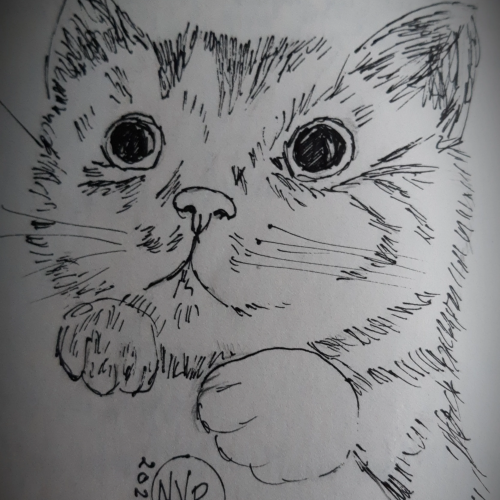 petit miaulement de chaton